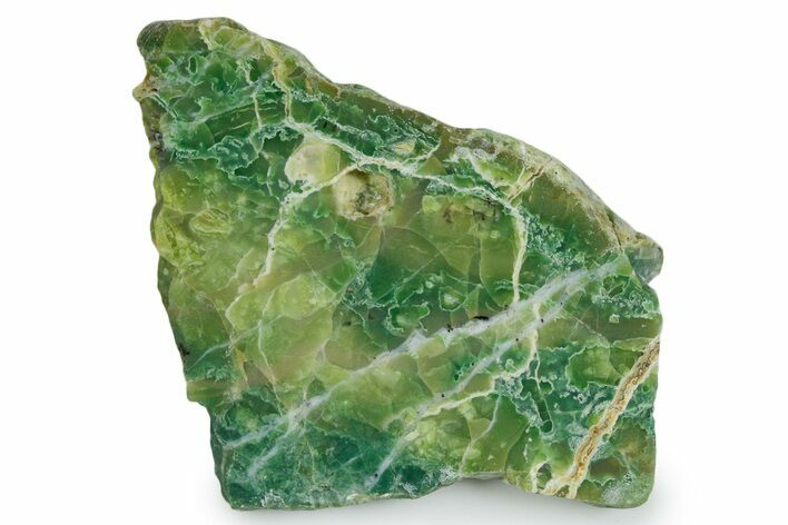 Polished Green-White Opal Slab - Western Australia #353736